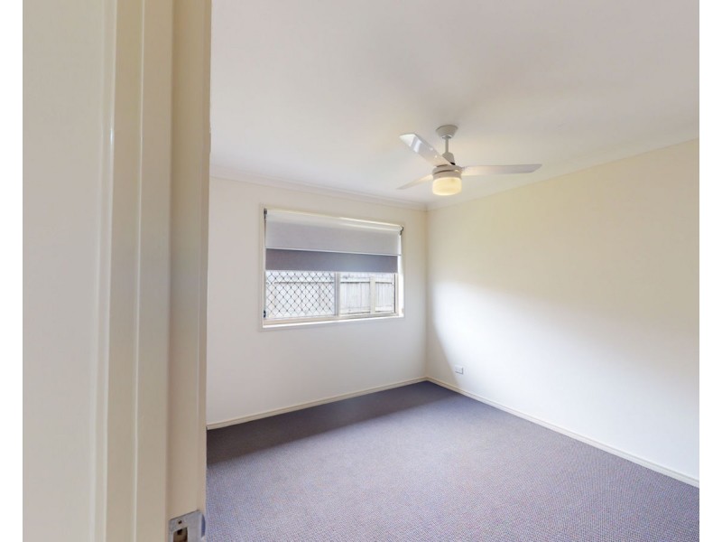 55 Daintree Street, Bellmere QLD 4510