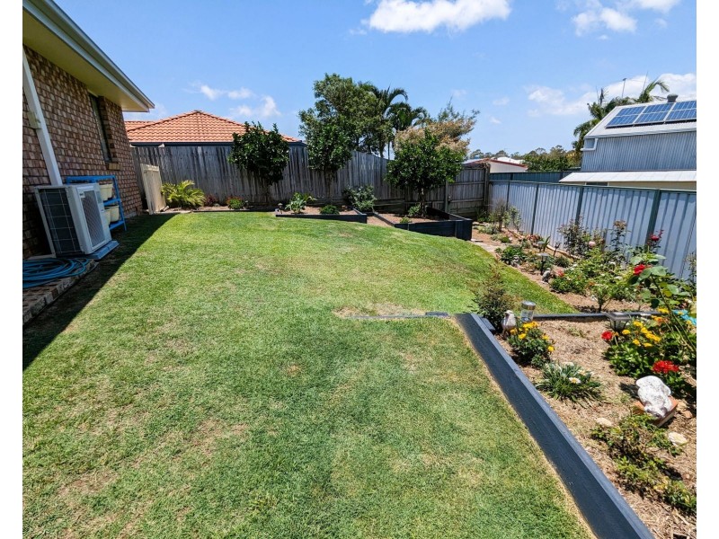 5 Jackwood Court, Morayfield QLD 4506