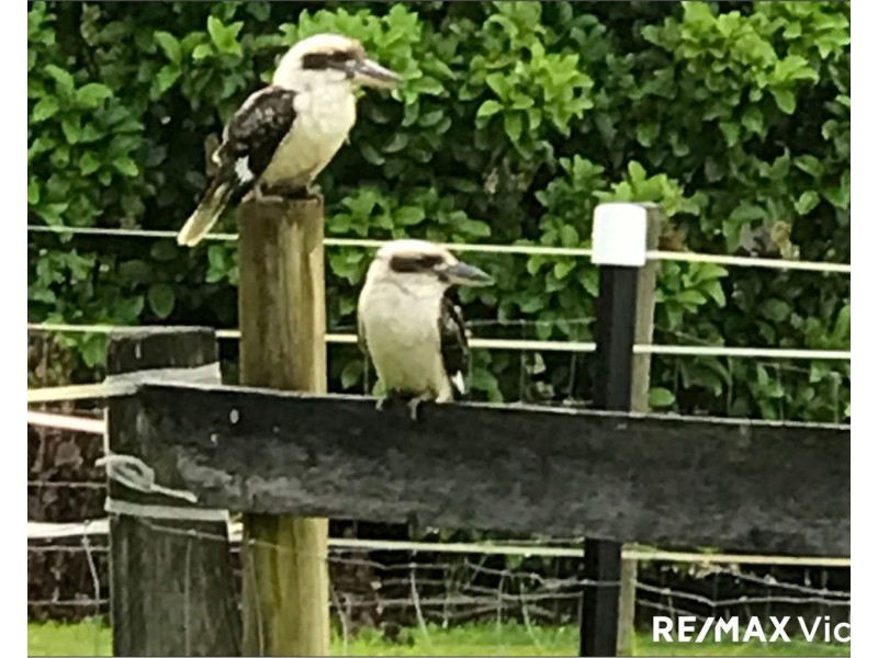 12 Heather Court, Woodford QLD 4514