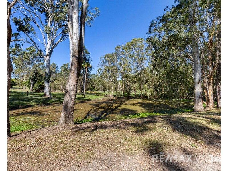 17 Coolbart Court, Morayfield QLD 4506