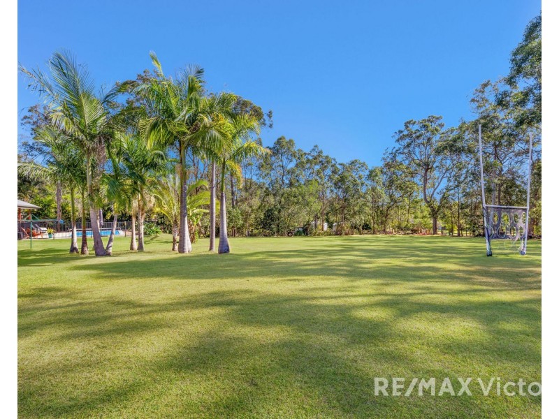 11 Telford Place, Morayfield QLD 4506