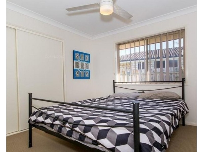 19 Sunflower Court, Upper Caboolture QLD 4510