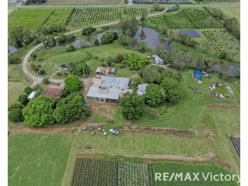 65 Ziviani Road, Wamuran QLD 4512