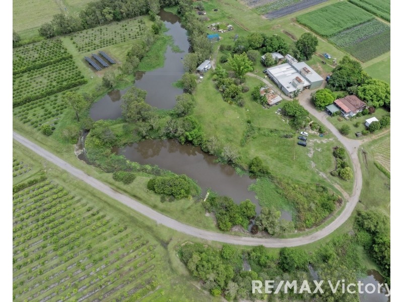 65 Ziviani Road, Wamuran QLD 4512