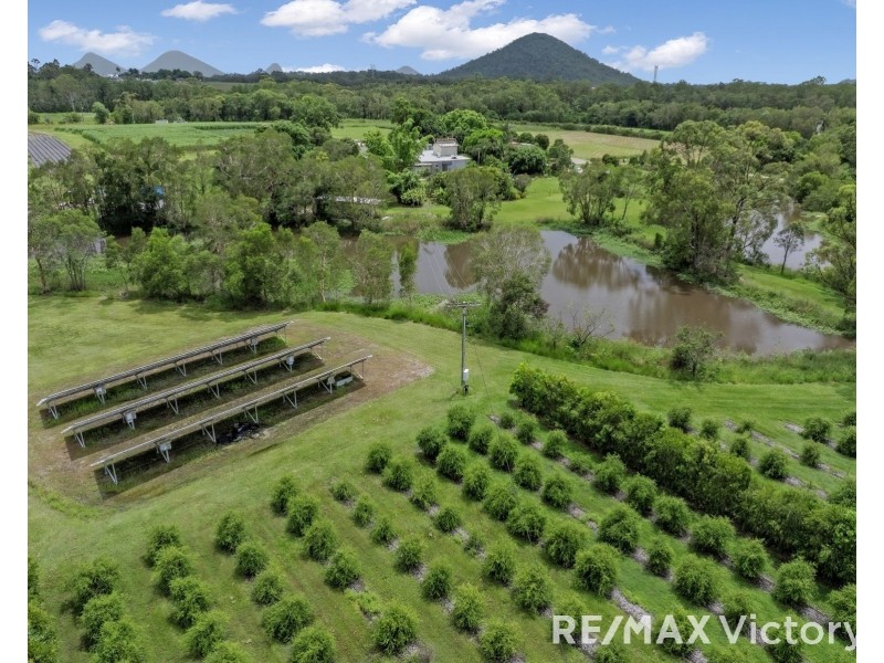 65 Ziviani Road, Wamuran QLD 4512