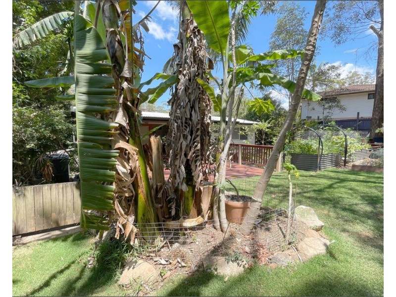 14 Yeerinbool Court, Arana Hills QLD 4054