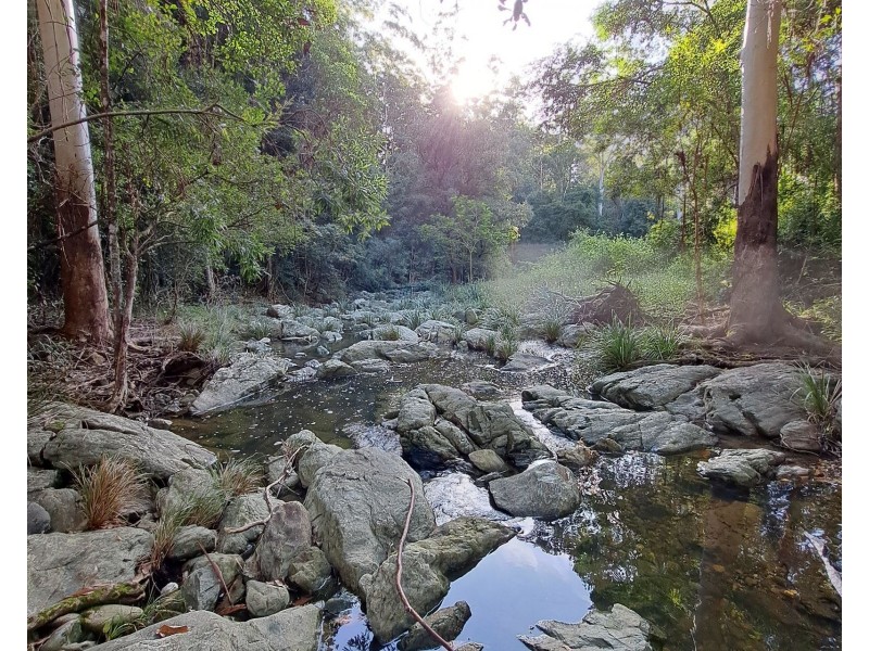 38 Bass Road, Campbells Pocket QLD 4521