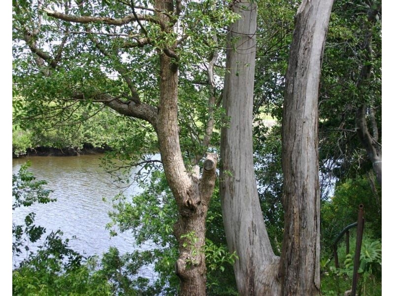 46 Edward Street, Caboolture QLD 4510