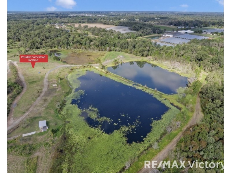 89-137 Whittington Road, Wamuran QLD 4512