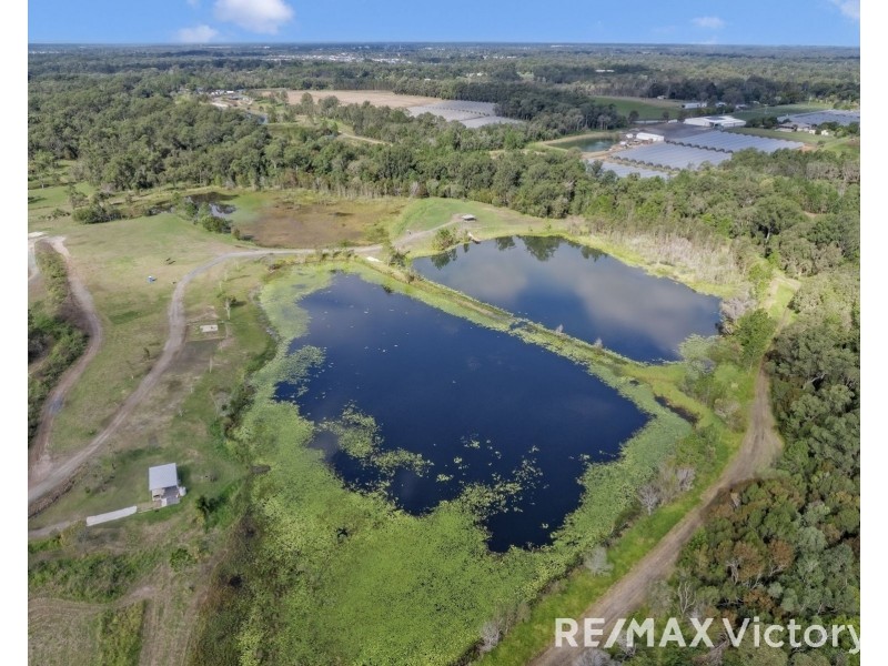 89-137 Whittington Road, Wamuran QLD 4512