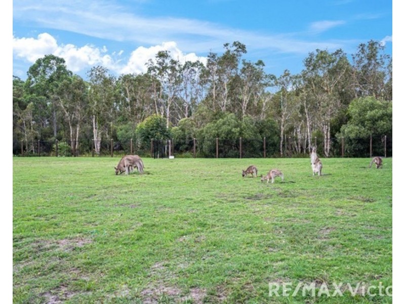 298 Freshwater Drive, Banksia Beach QLD 4507