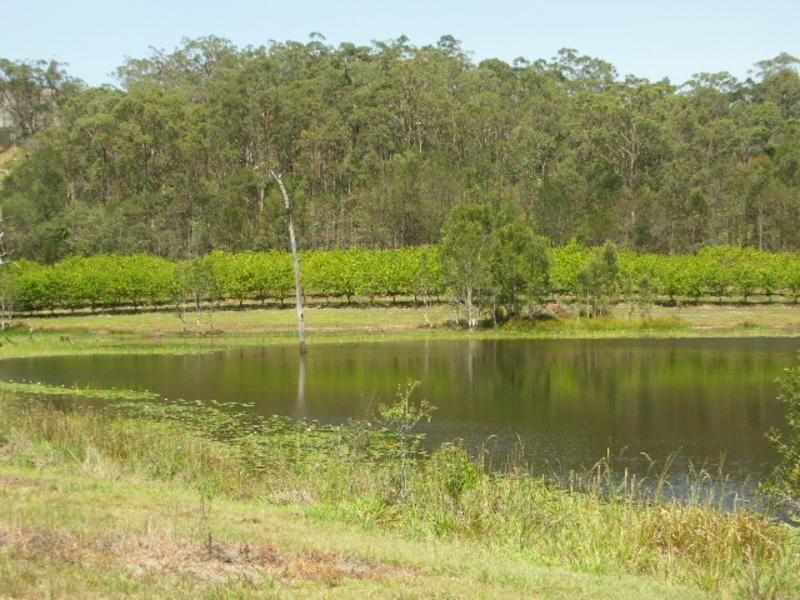 1 Hatchman Court, Elimbah QLD 4516