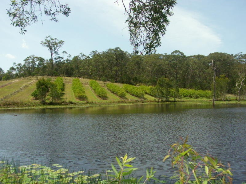 1 Hatchman Court, Elimbah QLD 4516