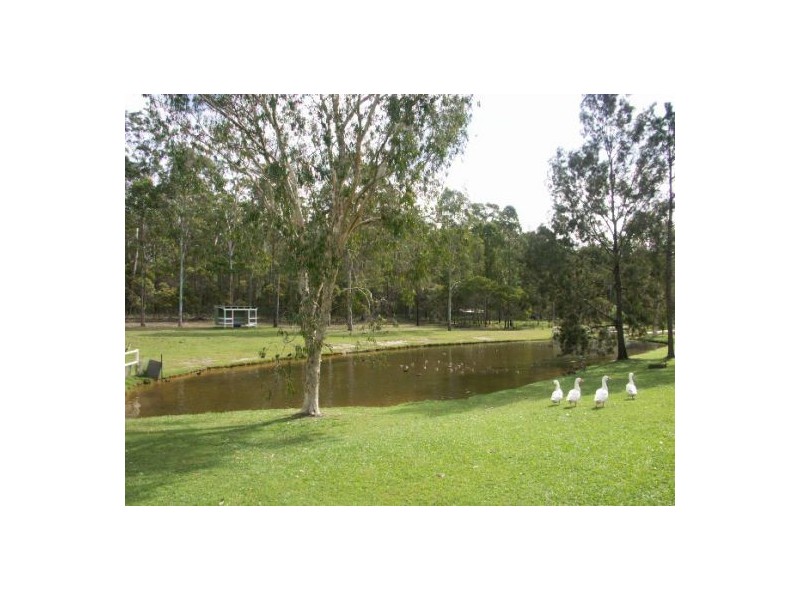 77 Ward Drive, Morayfield QLD 4506