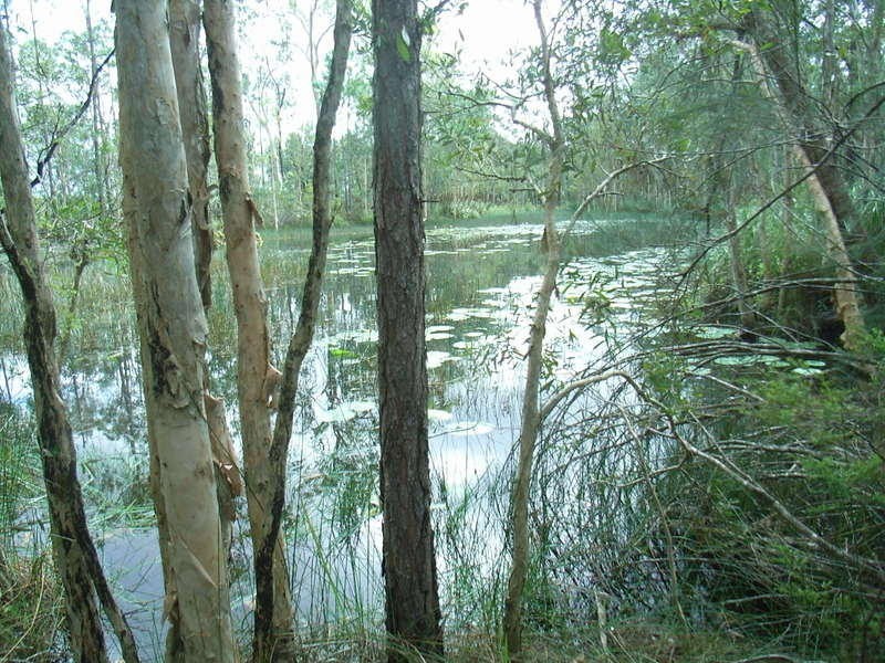 Elimbah QLD 4516