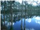 Elimbah QLD 4516