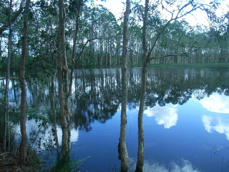 Elimbah QLD 4516
