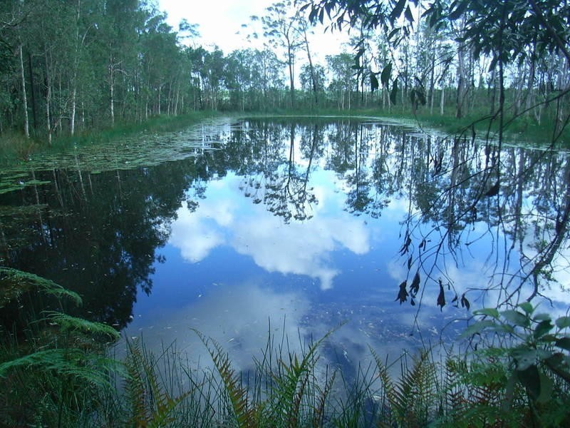 Elimbah QLD 4516