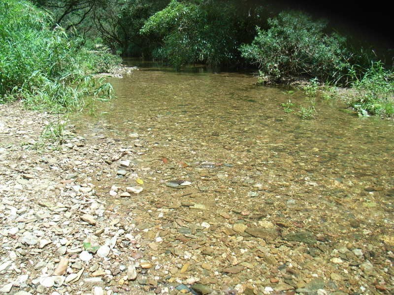 227 Campbells Pocket Road, Wamuran QLD 4512