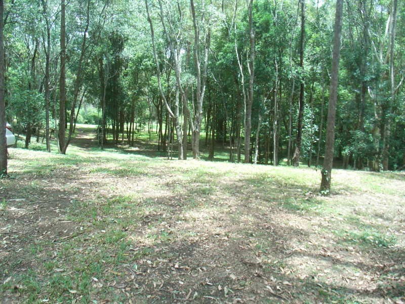 227 Campbells Pocket Road, Wamuran QLD 4512