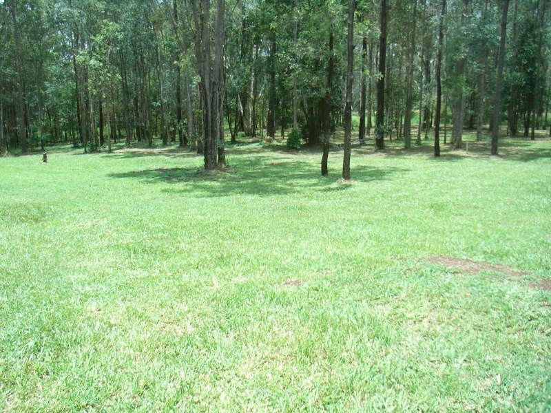 227 Campbells Pocket Road, Wamuran QLD 4512