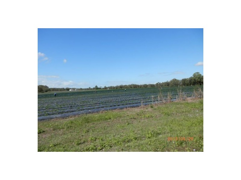 300 Donnybrook Rd, Donnybrook QLD 4510