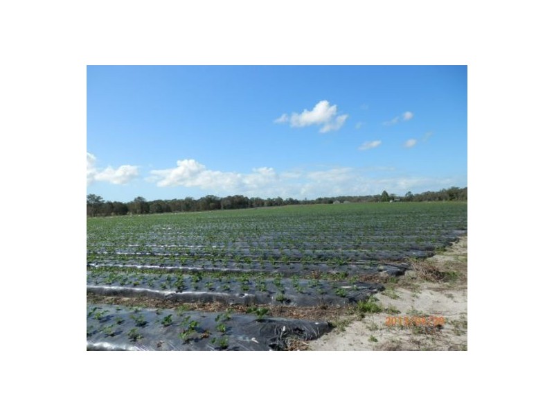 300 Donnybrook Rd, Donnybrook QLD 4510