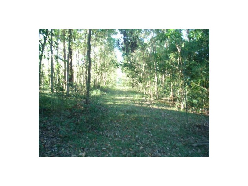 50 Old North Road, Wamuran QLD 4512