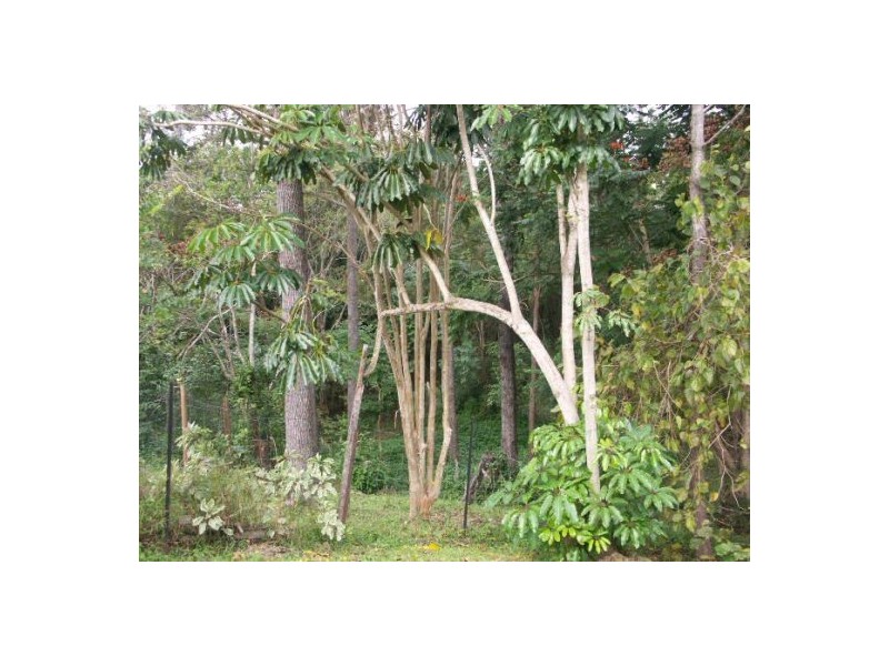 45b Valley Drive, Caboolture QLD 4510