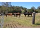 800 Delaney Creek Rd, Delaneys Creek QLD 4514