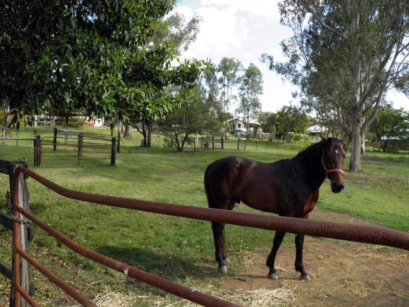 12 Queen Street, Blackstone QLD 4304