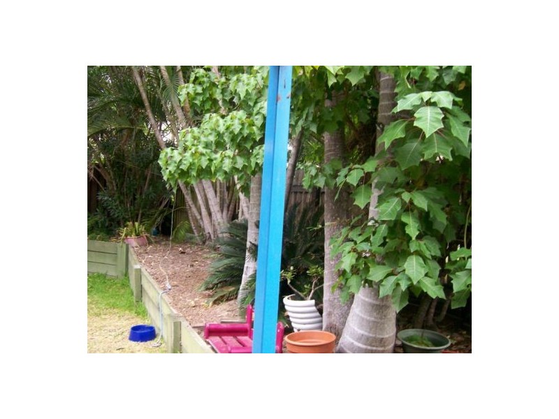 88 Hampton Street, Durack QLD 4077