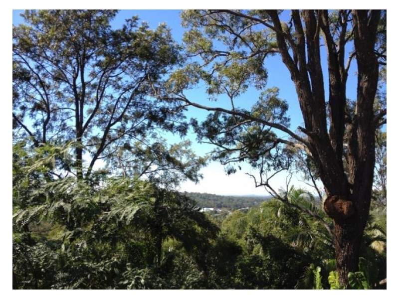 Cornubia QLD 4130