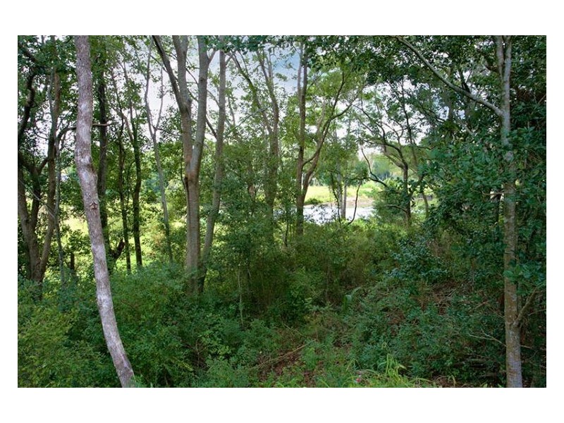 31 Carmody Court, Petrie QLD 4502