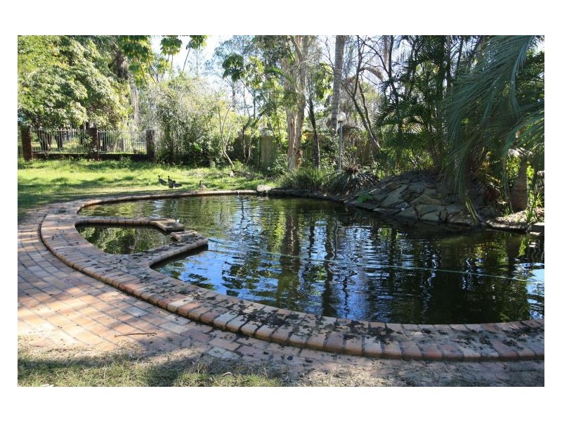 51 Menser St, Calamvale QLD 4116