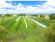478 Middle Road, Purga QLD 4306