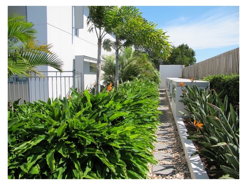 1125/16 Hamilton Pl, Bowen Hills QLD 4006