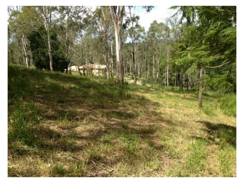 35 Winrock Street, Brookfield QLD 4069