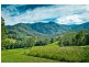 Bellingen NSW 2454