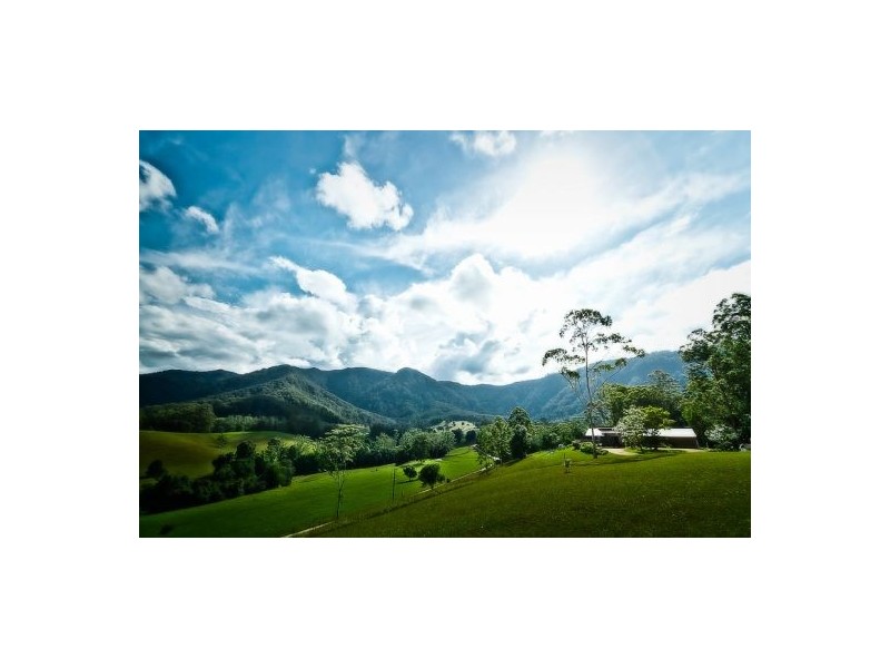 Bellingen NSW 2454