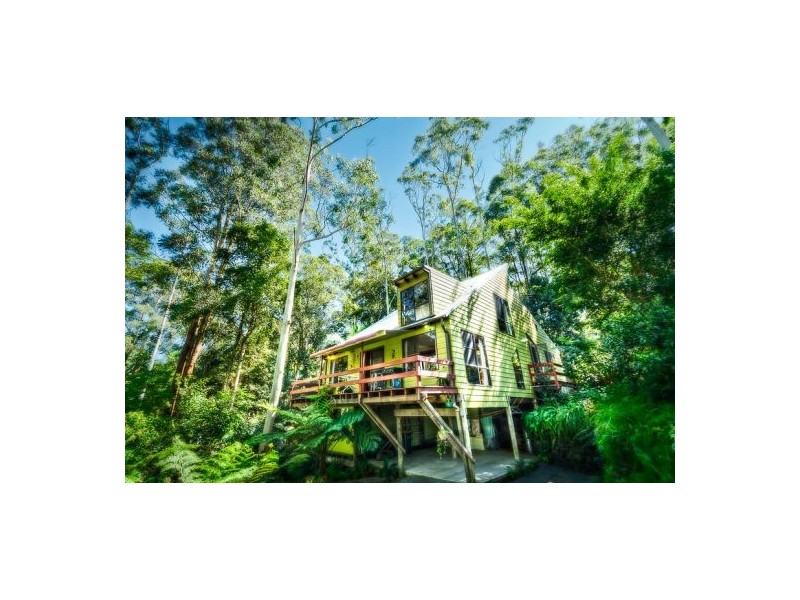 2 Cabbage Tree Close, Repton NSW 2454