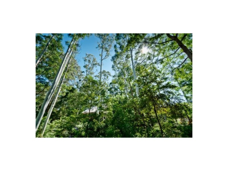 2 Cabbage Tree Close, Repton NSW 2454