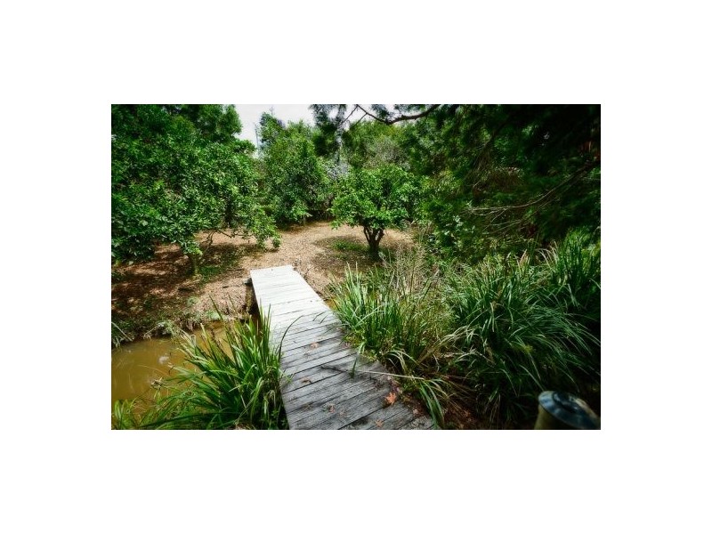 23 Church St, Bellingen NSW 2454