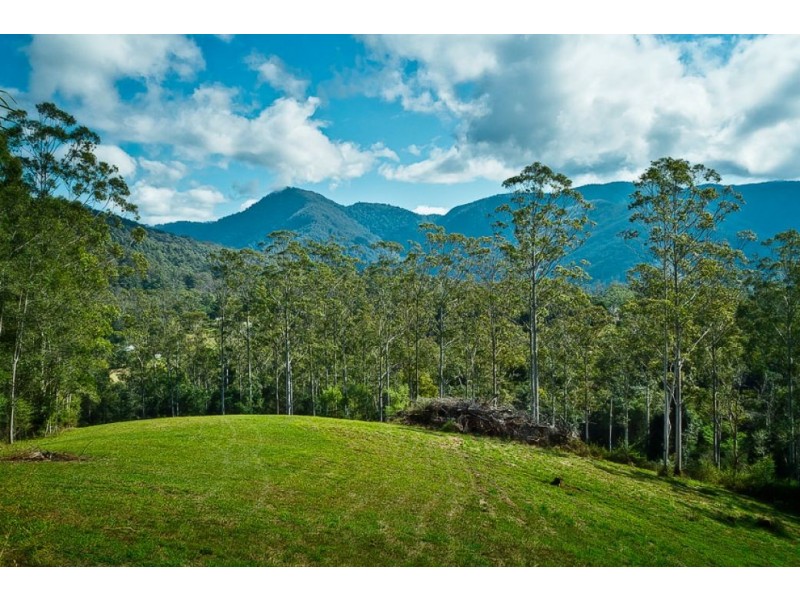 503 Roses Rd, Gleniffer, Bellingen NSW 2454