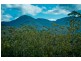 503 Roses Rd, Gleniffer, Bellingen NSW 2454