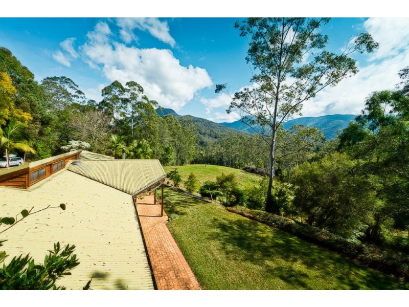 503 Roses Rd, Gleniffer, Bellingen NSW 2454