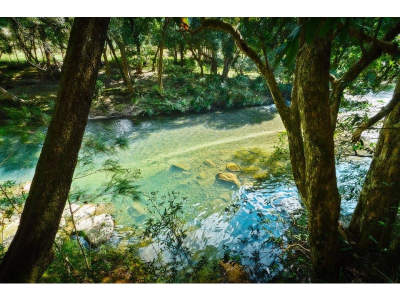 503 Roses Rd, Gleniffer, Bellingen NSW 2454
