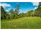 503 Roses Rd, Gleniffer, Bellingen NSW 2454