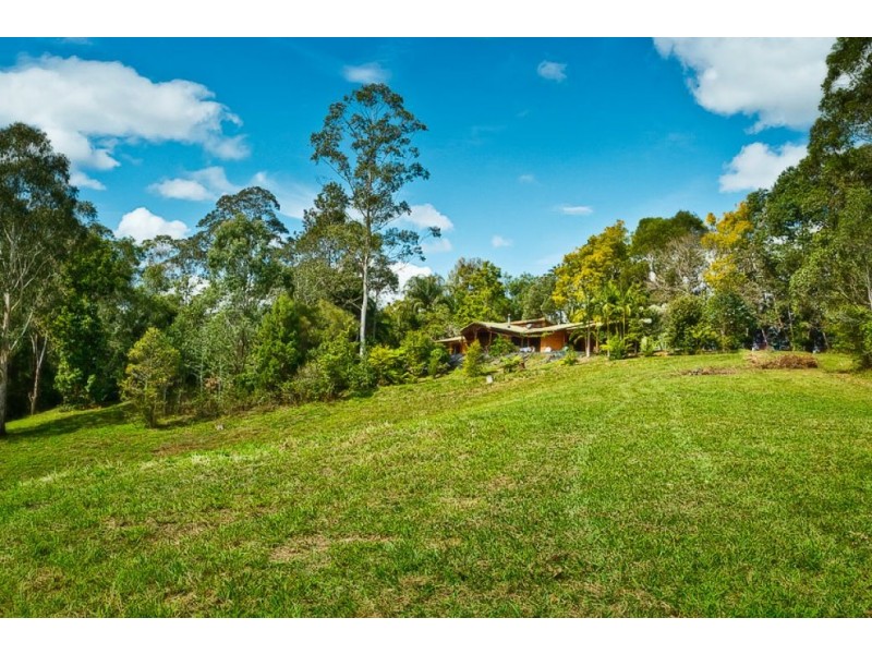 503 Roses Rd, Gleniffer, Bellingen NSW 2454