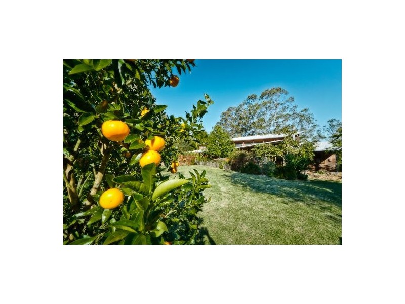 Valla NSW 2448